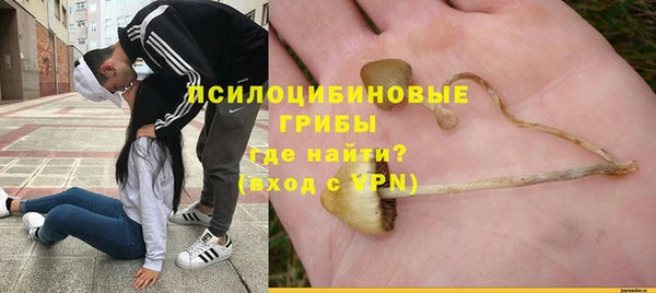 mdpv Краснотурьинск